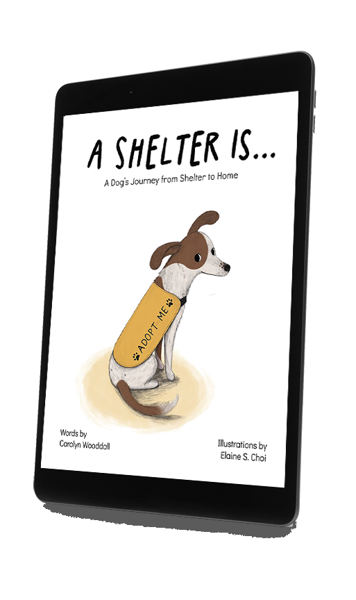 A Shelter Is...  A Dog's Journey from Shelter to Home